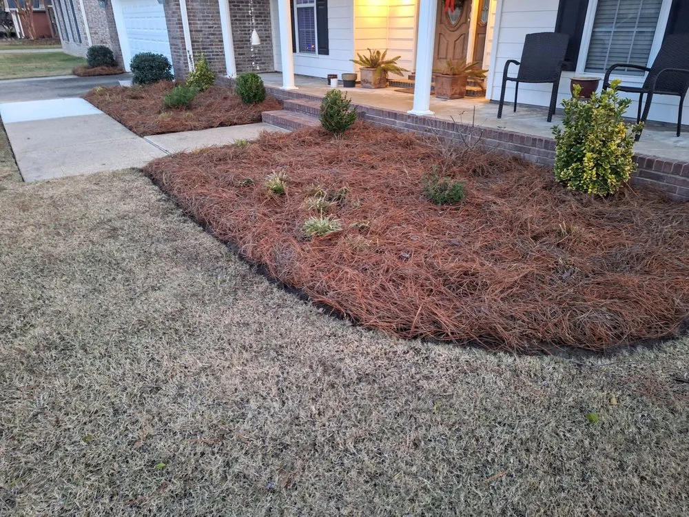 Professional lawn mowing service experts serving Boyle, MS - Dingo Dave's Lawn Care