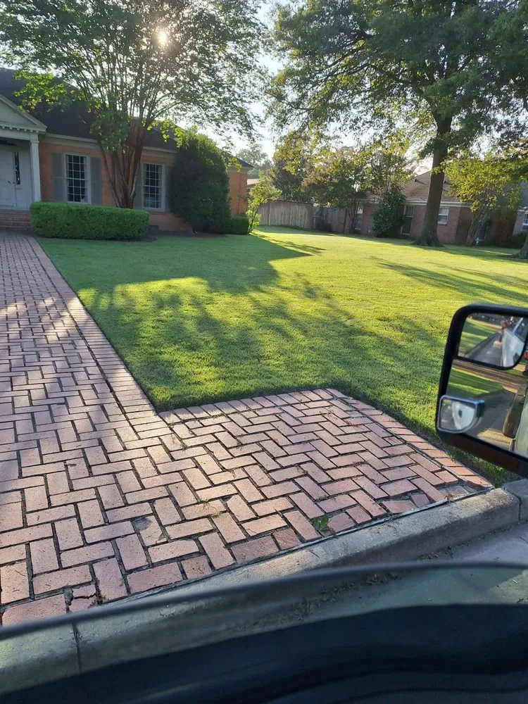 Trusted outdoor landscaping for year-round maintenance in Boyle, MS by Dingo Dave's Lawn Care