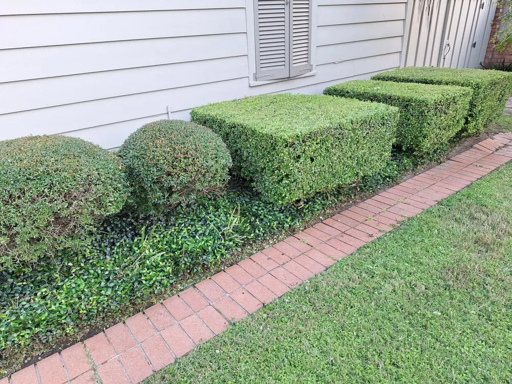 Local residential landscaping with custom design in Boyle, MS by Dingo Dave's Lawn Care