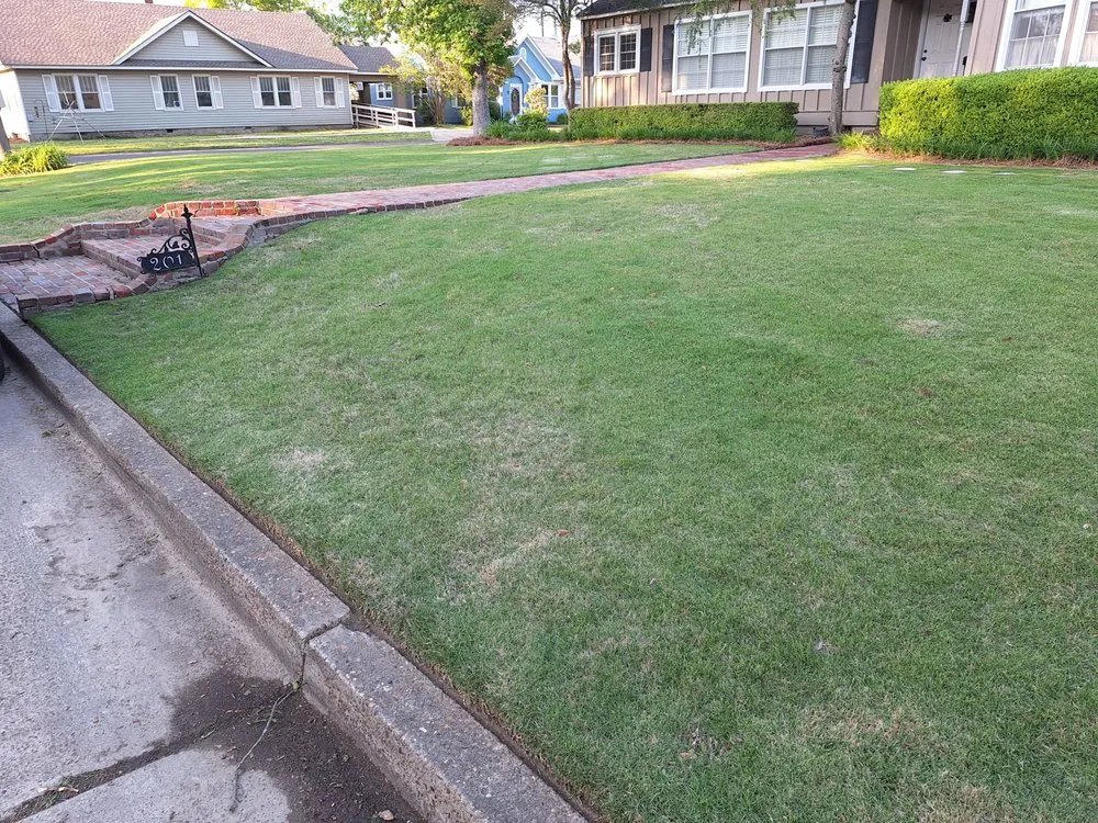 Professional yard maintenance in Boyle, MS - Dingo Dave's Lawn Care