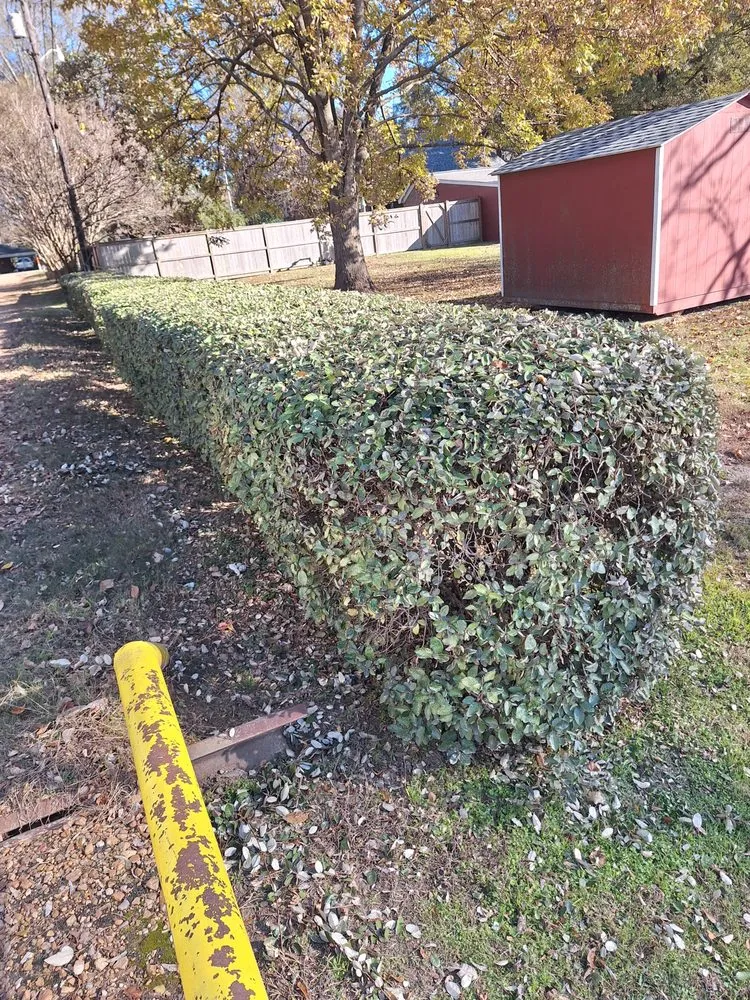 Custom lawn mowing service for residential properties across Boyle, MS - Dingo Dave's Lawn Care
