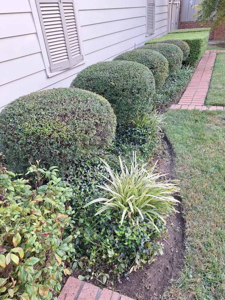 Expert landscape design for residential properties in Boyle, MS by Dingo Dave's Lawn Care