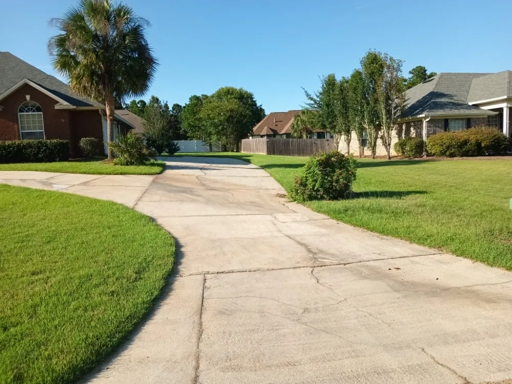 Local yard cleanup service in Tallahassee, FL - Dinkins Lawncare Services