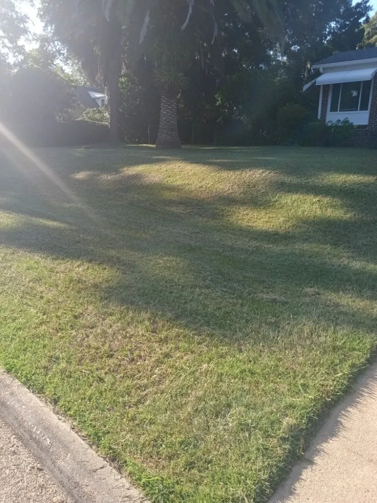 Trusted lawn care service in Tallahassee, FL by Dinkins Lawncare Services