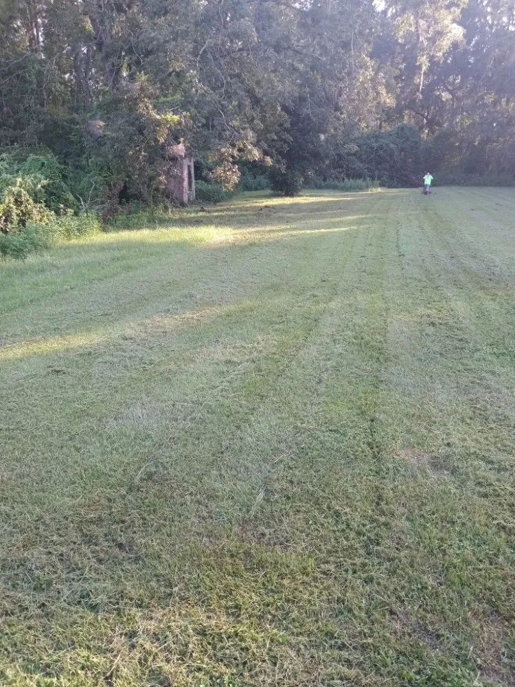 Custom landscaping services near you across Tallahassee, FL - Dinkins Lawncare Services