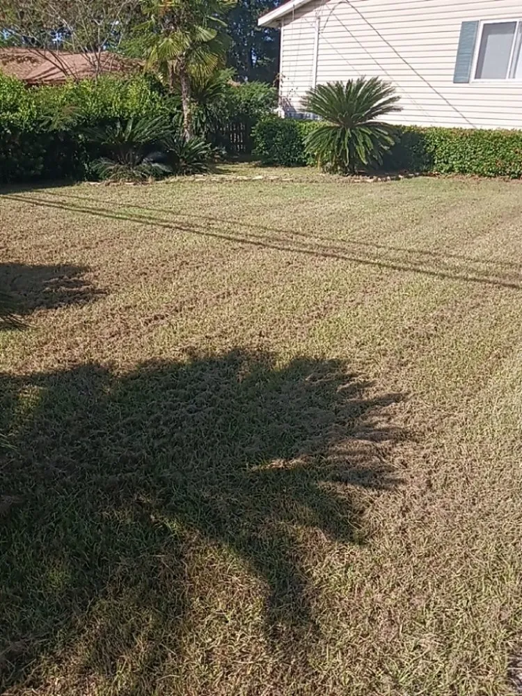 Trusted lawn care service in Tallahassee, FL - Dinkins Lawncare Services