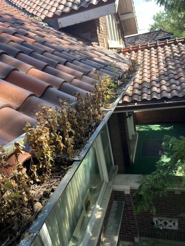 Professional yard cleanup service in Crest Hill, IL - Dinkos Gutter Cleaning & Lawn Care