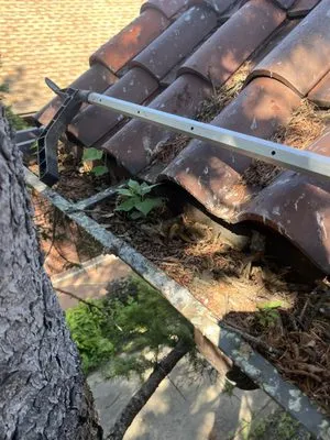 Dinkos Gutter Cleaning & Lawn Care