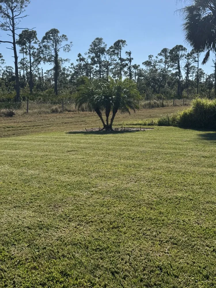 Custom lawn care service in Englewood, FL by Dinks Outdoor Solutions