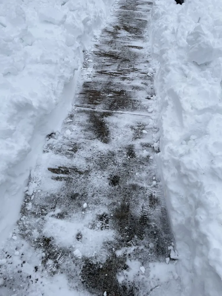 Affordable landscape installation for beautiful yards across Staten Island, NY - Dino & Sons Construction