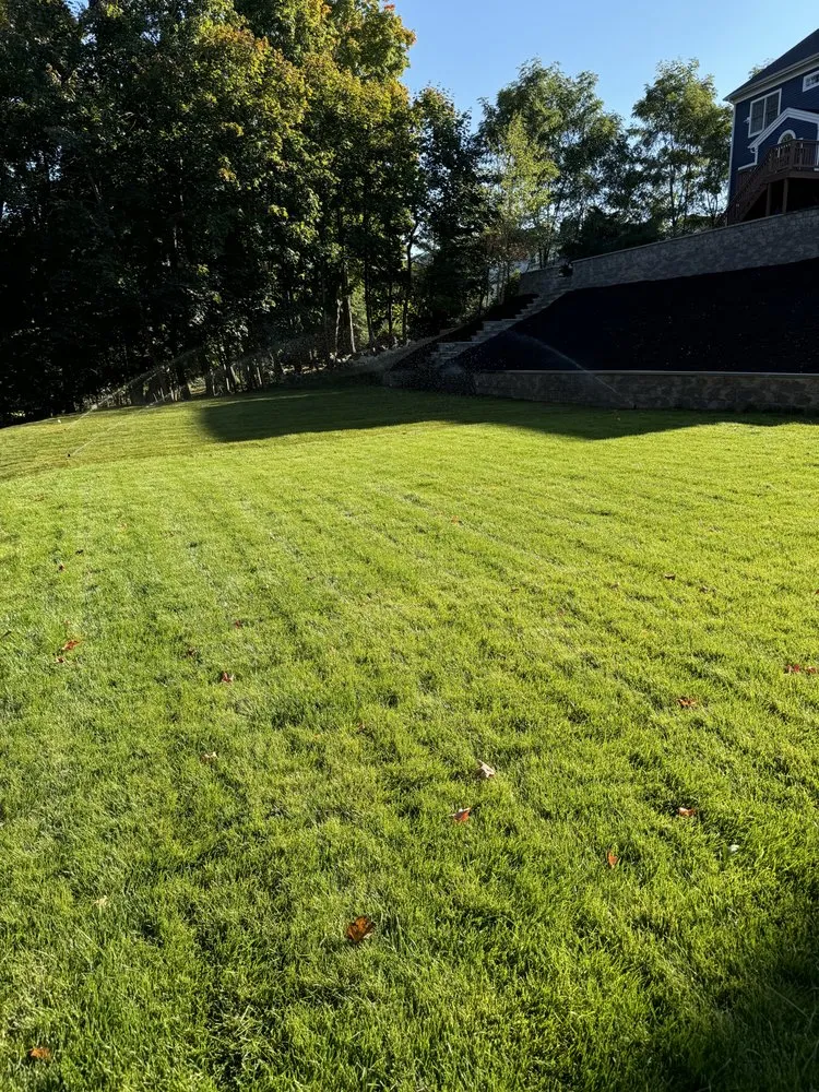 Trusted lawn mowing service near you across Cohasset, MA - Dino Landscape Construction