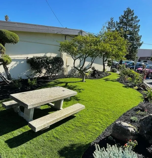 Top-rated yard cleanup service experts serving Vallejo, CA - Dino Landscaping