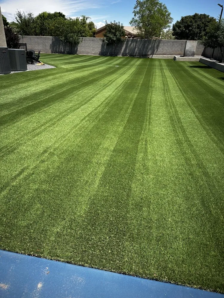 Local yard maintenance experts serving Queen Creek, AZ - Dino Turf Cleaning