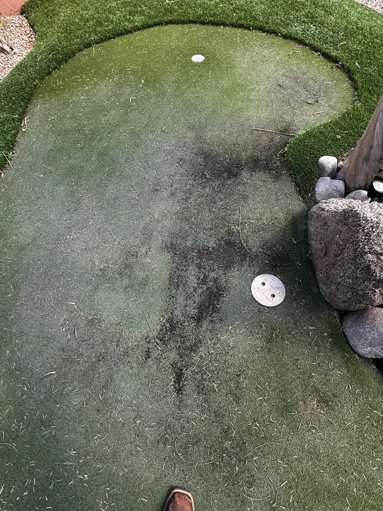 Top-rated landscaping services experts serving Queen Creek, AZ - Dino Turf Cleaning