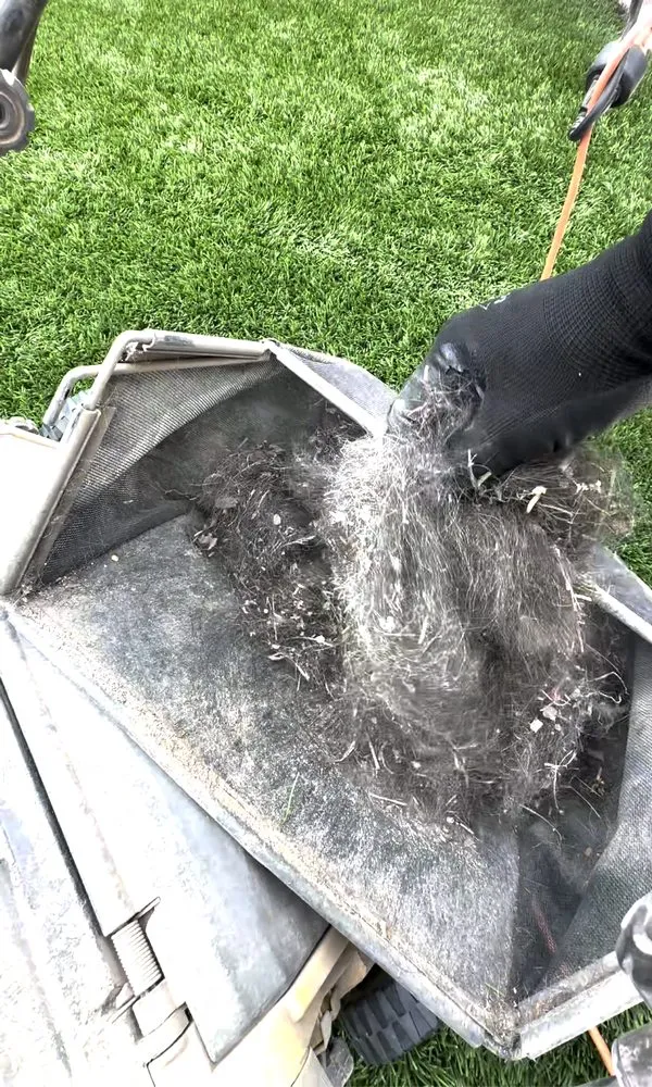 Reliable outdoor landscaping near you across Queen Creek, AZ - Dino Turf Cleaning