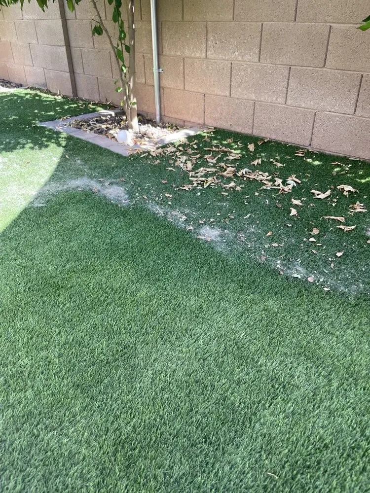 Expert residential landscaping with custom design across Queen Creek, AZ - Dino Turf Cleaning