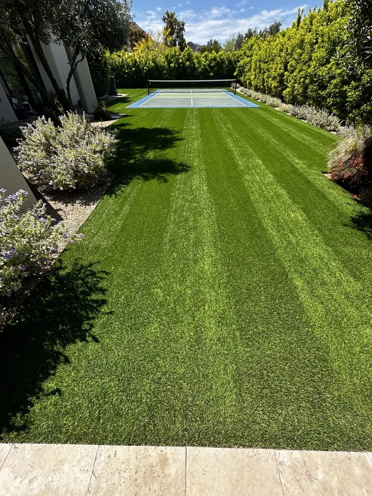 Professional yard cleanup service for beautiful yards in Queen Creek, AZ by Dino Turf Cleaning
