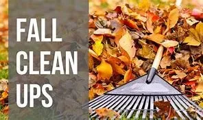 Reliable yard cleanup service in Riva, MD by Dinos Contractors