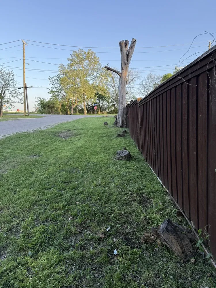 Expert landscaping services for homes across Dallas, TX - Dinos Green Grass