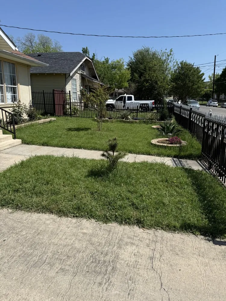 Professional lawn care service in Dallas, TX by Dinos Green Grass