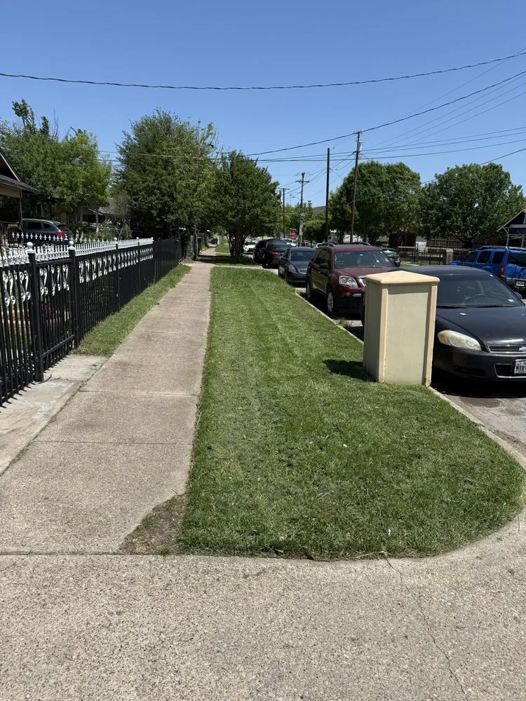 Expert landscaping services for outdoor upgrades across Dallas, TX - Dinos Green Grass