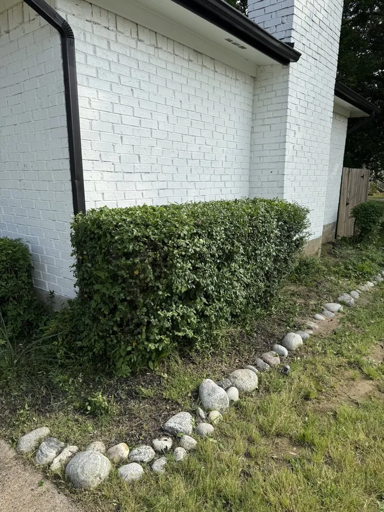 Custom landscaping services in Dallas, TX - Dinos Green Grass