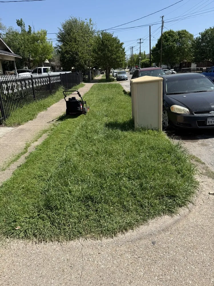 Professional landscape installation experts serving Dallas, TX - Dinos Green Grass