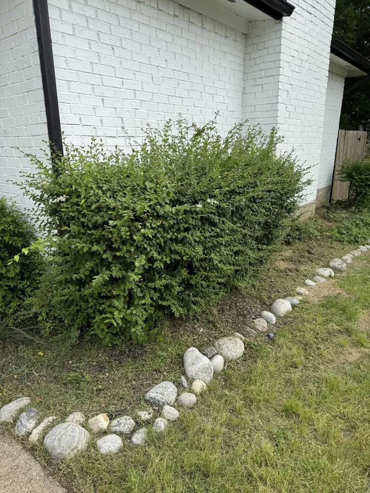 Custom landscape installation experts serving Dallas, TX - Dinos Green Grass