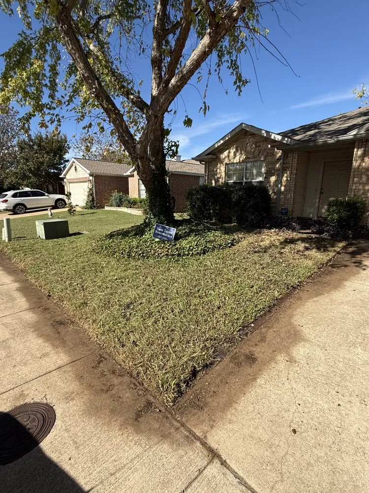 Local landscape installation for year-round maintenance across Dallas, TX - Dinos Green Grass