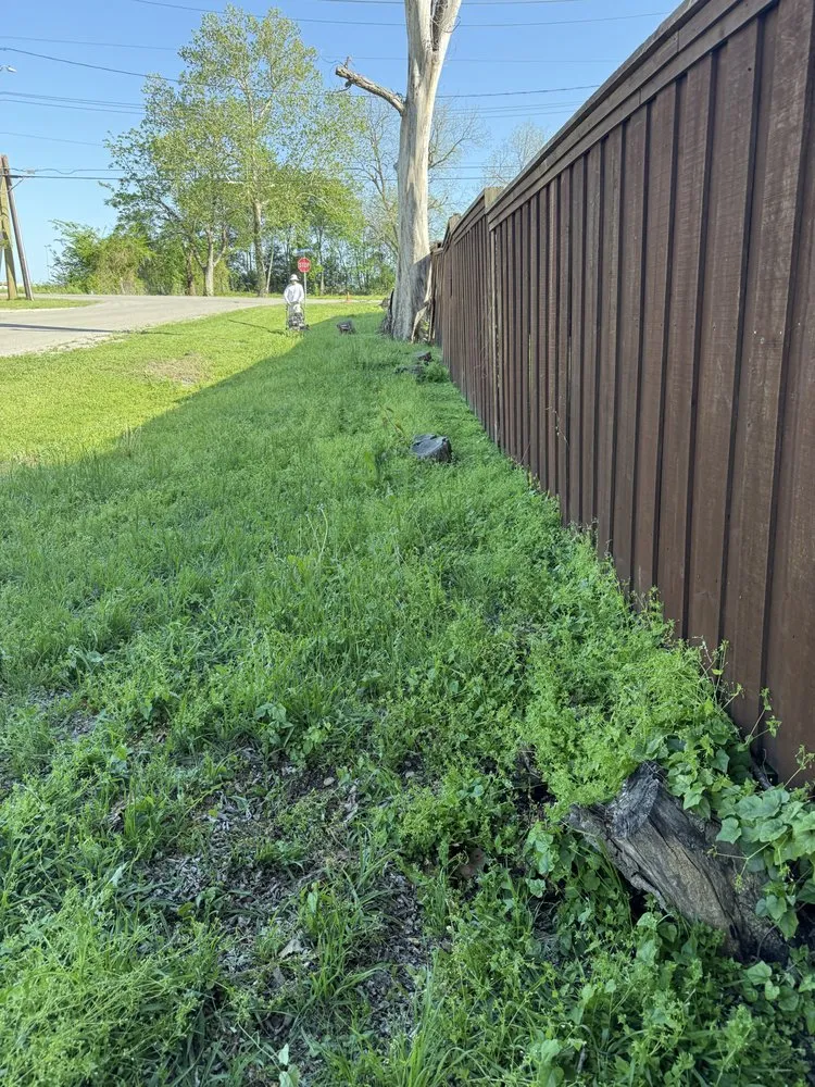 Top-rated landscaping services in Dallas, TX - Dinos Green Grass