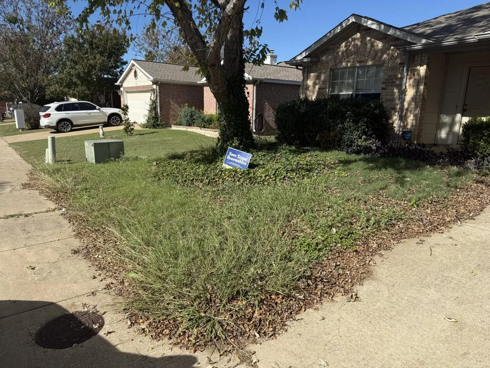 Local yard cleanup service in Dallas, TX by Dinos Green Grass