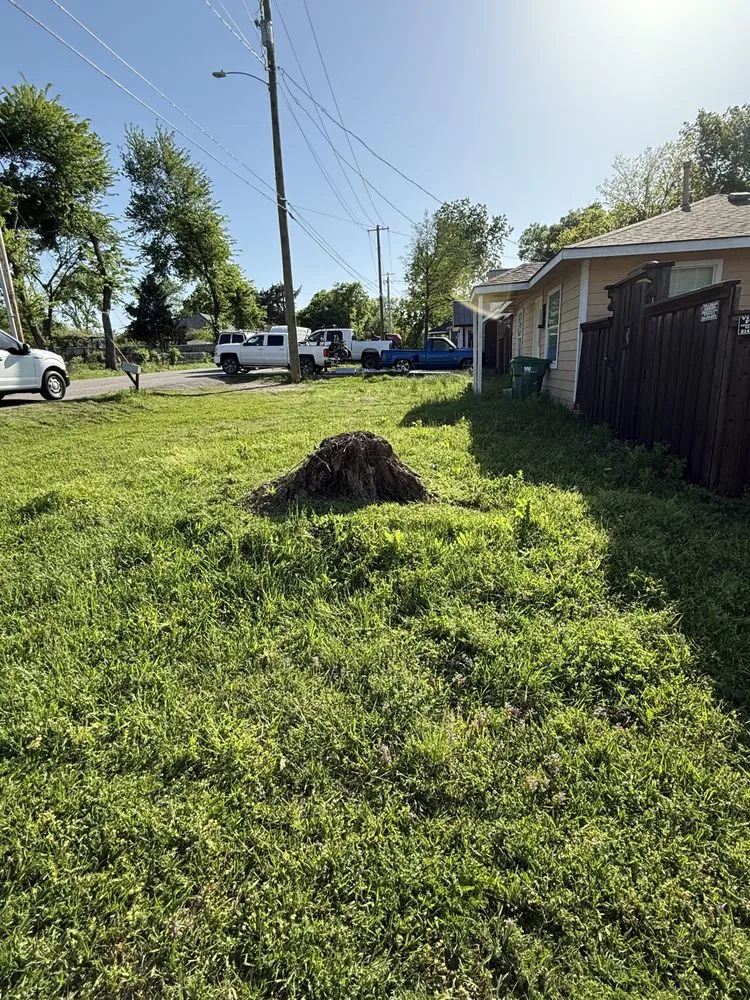 Professional residential landscaping for outdoor upgrades across Dallas, TX - Dinos Green Grass