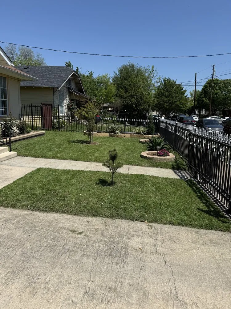 Trusted yard maintenance in Dallas, TX by Dinos Green Grass