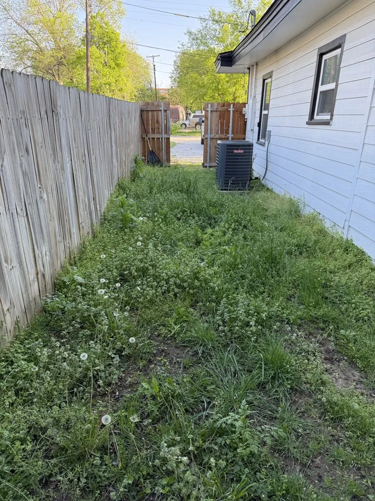 Reliable garden landscaping in Dallas, TX - Dinos Green Grass