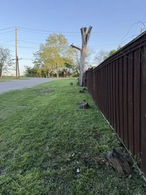 Dinos Green Grass Logo