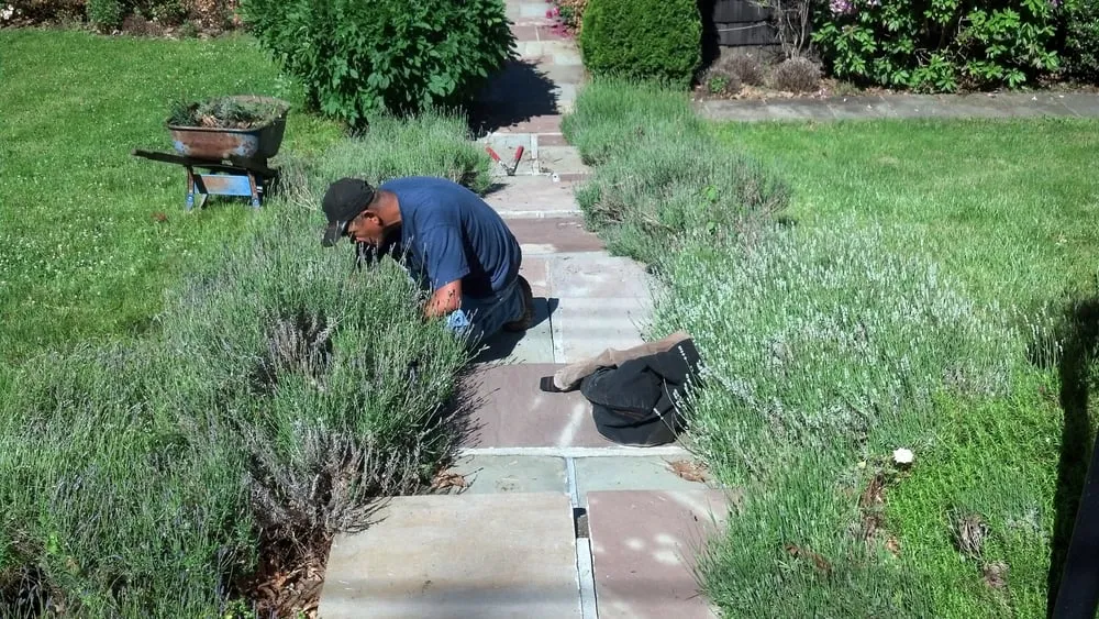 Expert outdoor landscaping in Danbury, CT by Dino's Landscaping & Masonry