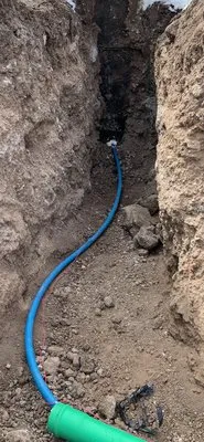 Dinosaur Excavation & Landscaping Logo