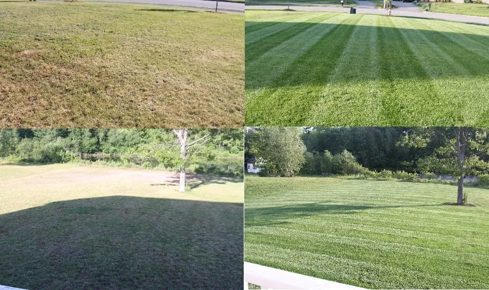 Reliable residential landscaping for beautiful yards in Billerica, MA by Dinsmore Brian J Landscaping