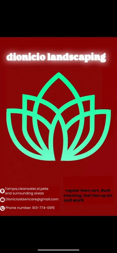 Professional residential landscaping for outdoor upgrades in Tampa Bay, FL by Dionicio Landscaping