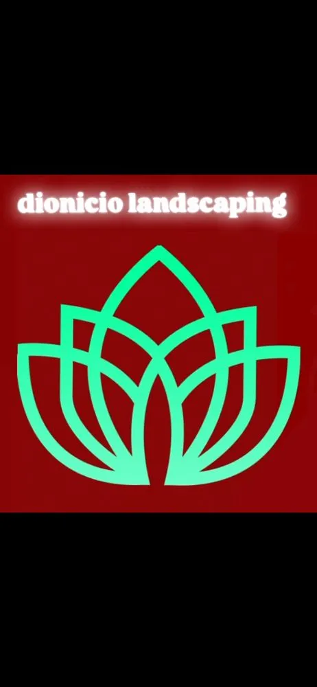 Affordable outdoor landscaping in Tampa Bay, FL - Dionicio Landscaping