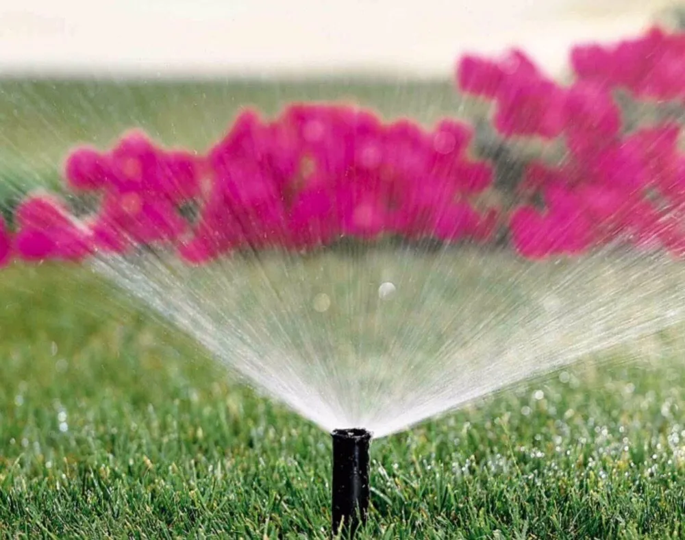Top-rated residential landscaping in Bakersfield, CA by Dion's Quality Landscaping & Sprinkler Repair