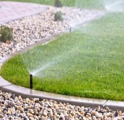 Dion's Quality Landscaping & Sprinkler Repair Logo