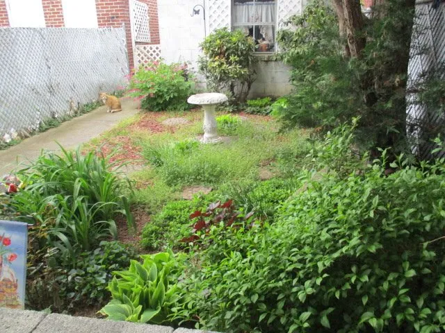 Top-rated lawn mowing service in Allentown, PA by DiPhillipo's Landscaping