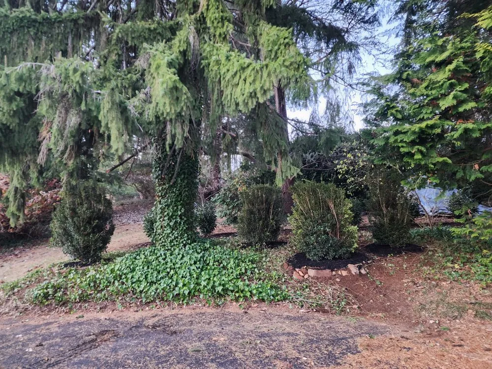 Professional lawn care service experts serving Philadelphia, PA - DiPietro Landscaping