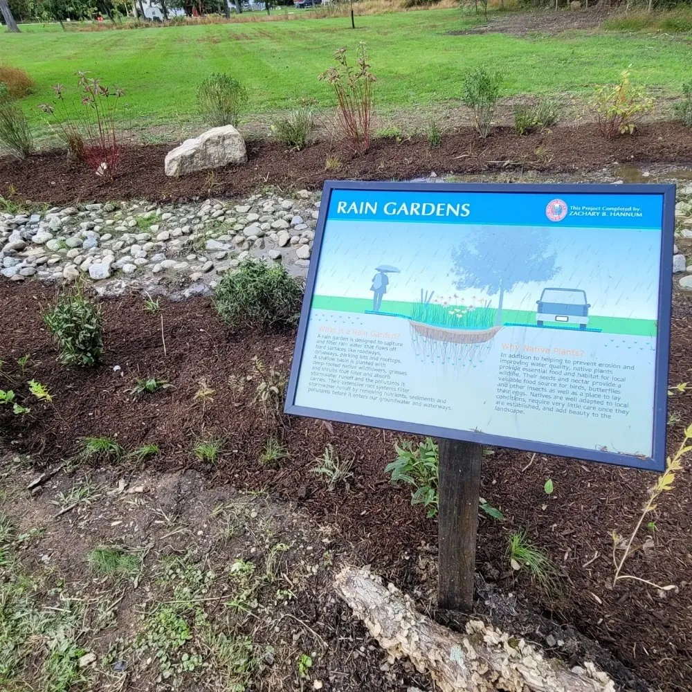 Top-rated yard cleanup service experts serving Philadelphia, PA - DiPietro Landscaping