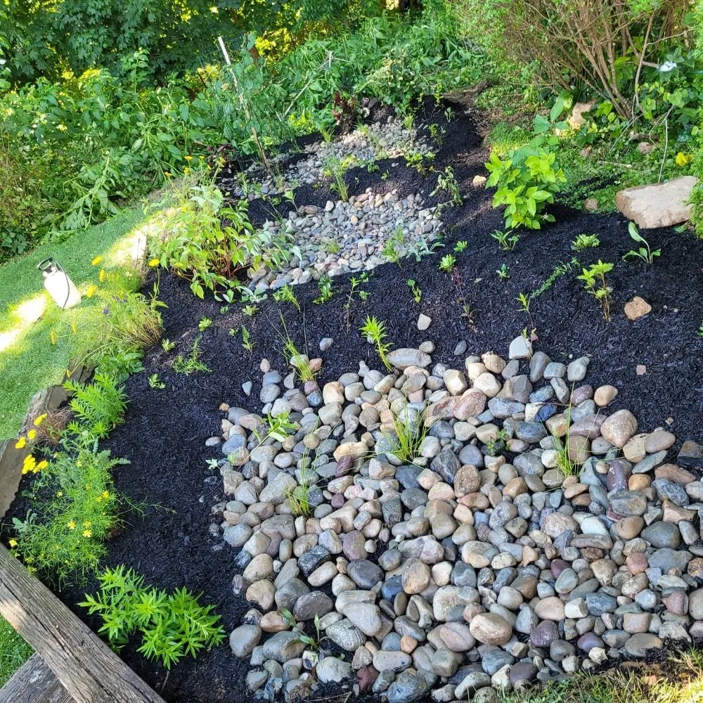 Local yard cleanup service in Philadelphia, PA by DiPietro Landscaping