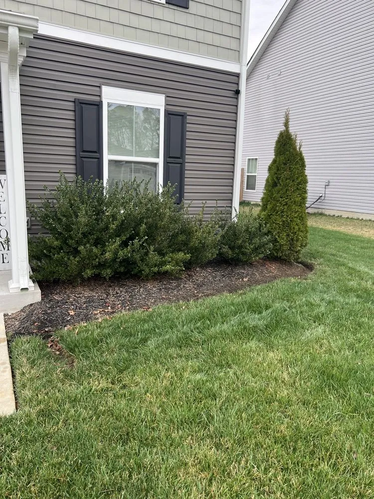Expert landscaping services in Richmond, VA - Diplomatic Lawn Care
