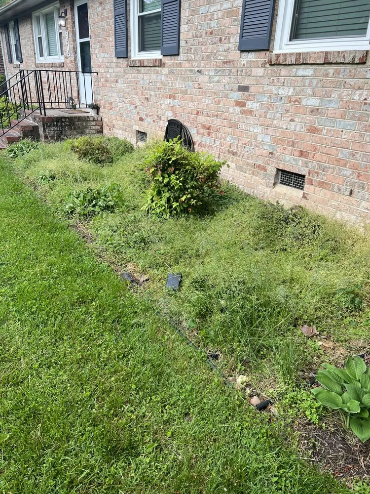 Local outdoor landscaping for outdoor upgrades across Richmond, VA - Diplomatic Lawn Care