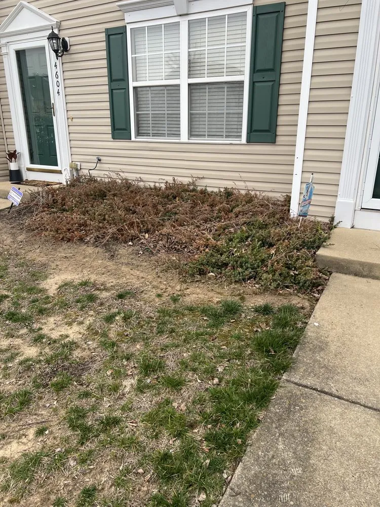 Top-rated garden landscaping in Richmond, VA by Diplomatic Lawn Care