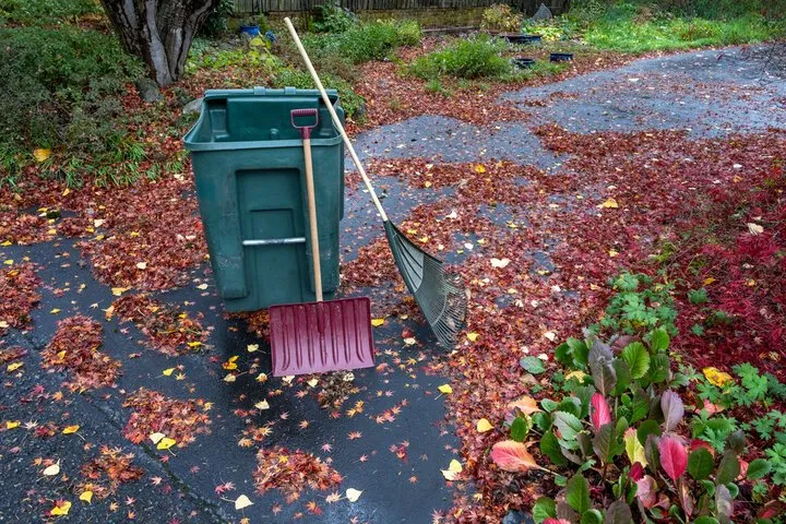 Top-rated lawn mowing service near you in Richmond, VA by Diplomatic Lawn Care